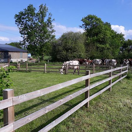 Roulotte A La Ferme Buissonniere Villa La Lande-de-Louge Ngoại thất bức ảnh