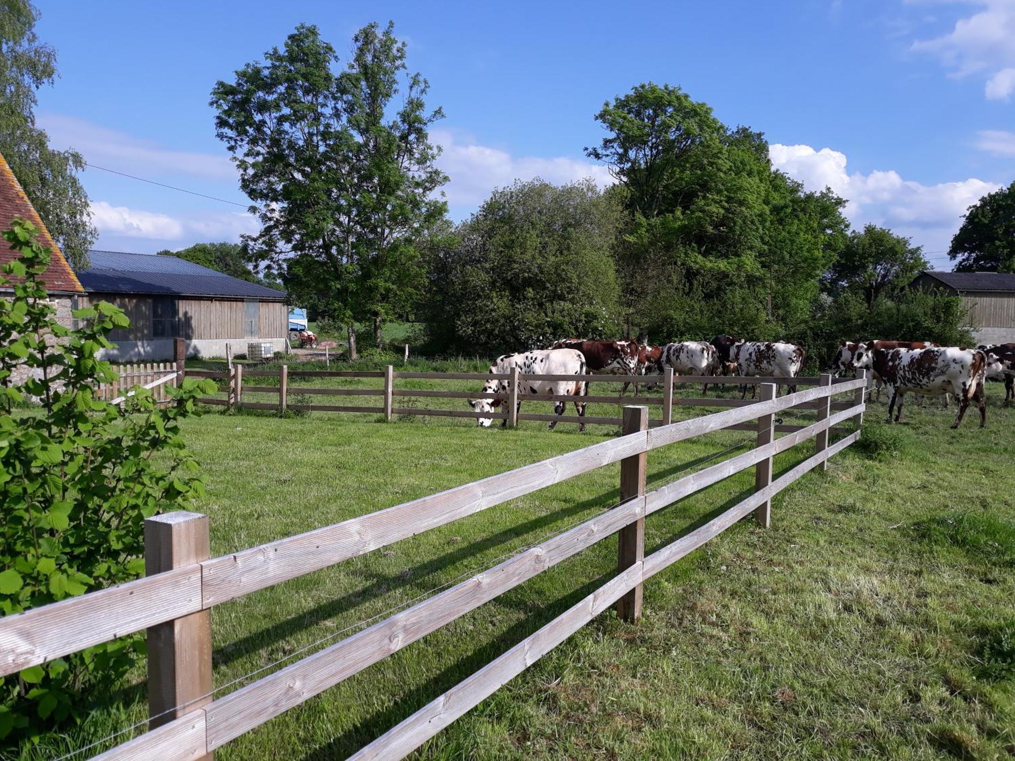 Roulotte A La Ferme Buissonniere Villa La Lande-de-Louge Ngoại thất bức ảnh